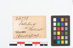 Etikett zu Bronzegürtelhaken (NHMW-PRAE-026778)